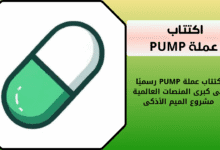 شرح اكتتاب عملة PUMP