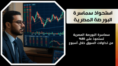 سماسرة البورصة المصرية |تستحوذ على 80%